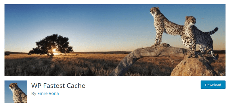 cache mais rápido wp