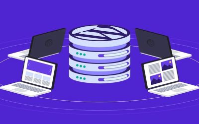 Guia completo do WordPress Multisite: O que é um multisite e como configurá-lo
